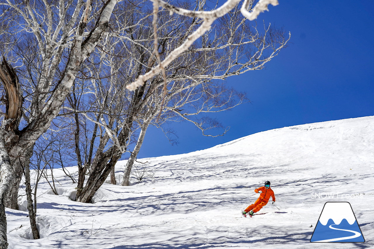 ニセコグラン・ヒラフ DYNASTAR SKI TEST RIDE DAYS Photo Session!!最高の天気に恵まれたニセコに、最高の仲間たちが集まりました☆